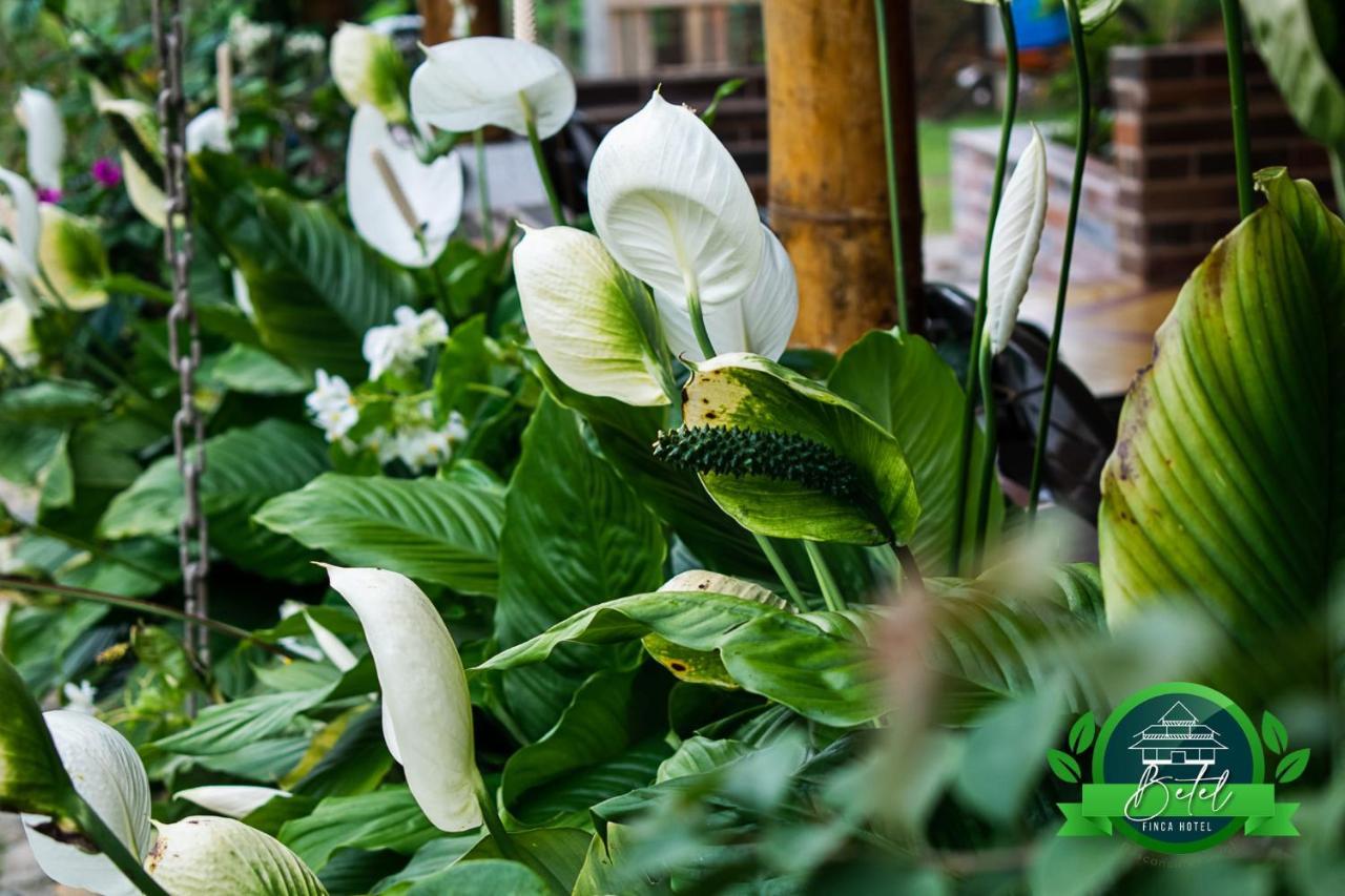 Finca Hotel Betel San Carlos Εξωτερικό φωτογραφία